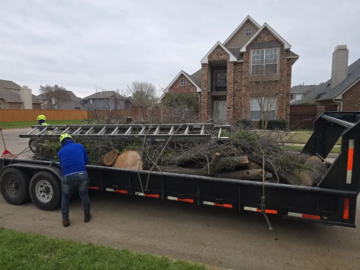Expert Lot Clearing with proper safety equipment in Warren